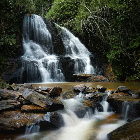 Hobble Springs