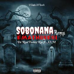 Sobonana emathuneni (feat. X2M) (Remix Turn into Amapiano)