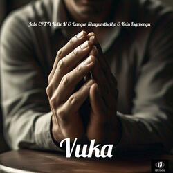 Vuka (feat. Nelle M & Danger Shayumthetho & Kzin Isgebengu)