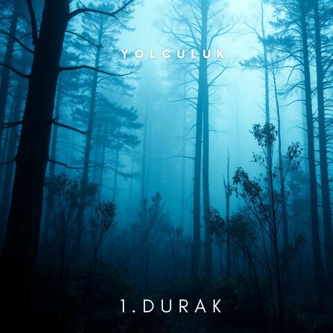 1.DURAK
