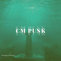 CM PUNK