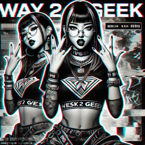 Way 2 Geek