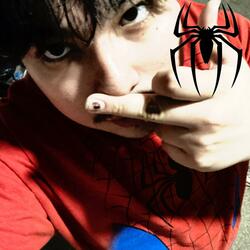 Spiderman Tee