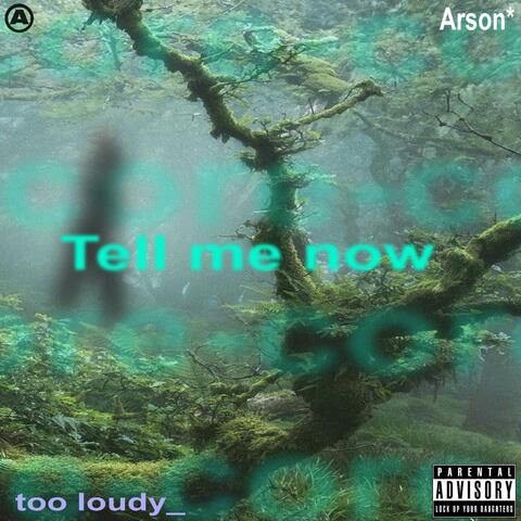 Tell me now (feat. Too loudy)