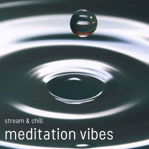 Meditation Vibes