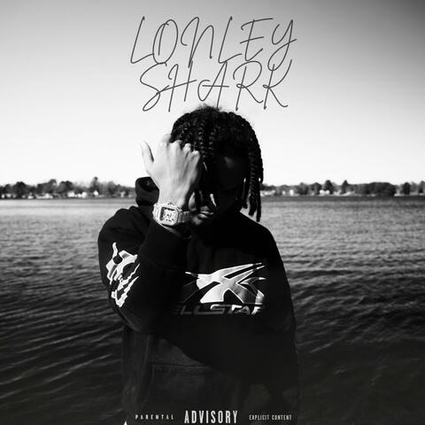 Lonely Shark