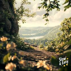Slow & Easy