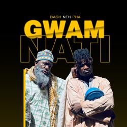 Gwamnati