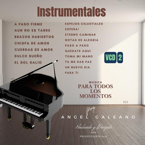 INSTRUMENTALES (VCD2)