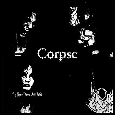 The Rose Thorns Will Bleed (B Minor Composition)