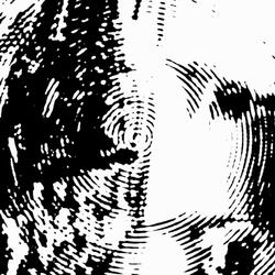 maybe i will (demo a cappella)