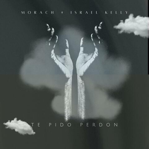 Te Pido Perdon (feat. Israel Kelly)