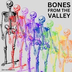 Bones from the Valley