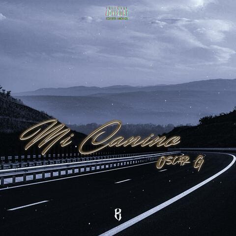 Mi Camino