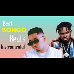 Best Bongo Beats Instrumental