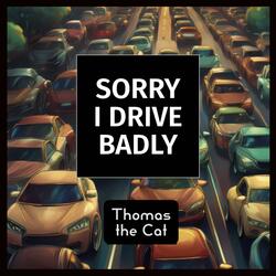 Sorry I Drive Badly