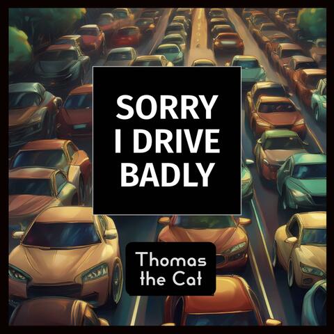 Sorry I Drive Badly