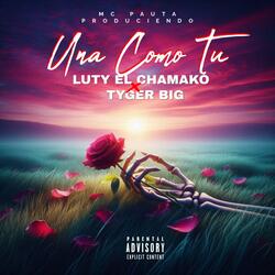 Una Como Tu (feat. Tyger Big)