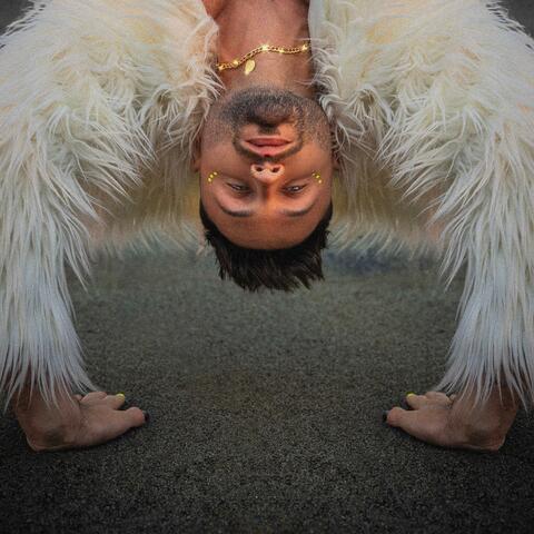 zwischen Freud und Leid