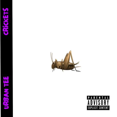 Crickets