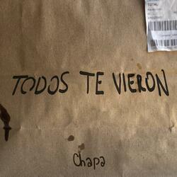 TODOS TE VIERON