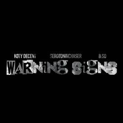 warning signs (feat. SerotoninChaser & b:so)
