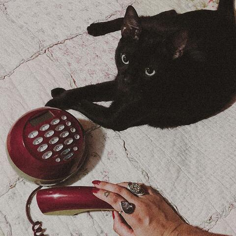 Llama (feat. Buhowhite)