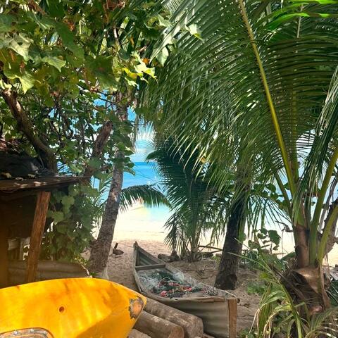 tropical