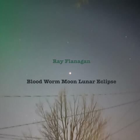 Blood Worm Moon Lunar Eclipse