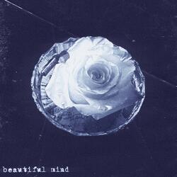 beautiful mind