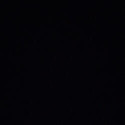 JuggBabies (JuggBaby X Pooda Mack)