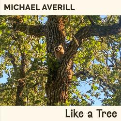 Like a Tree