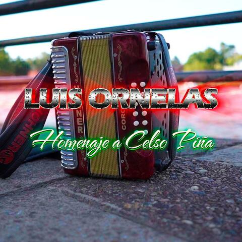 Homenaje a Celso Piña