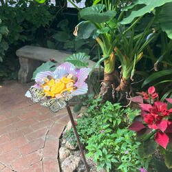 What it means to be perfect