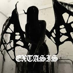 EXTASIS(hardtechno) (feat. THE BROTHER'S)