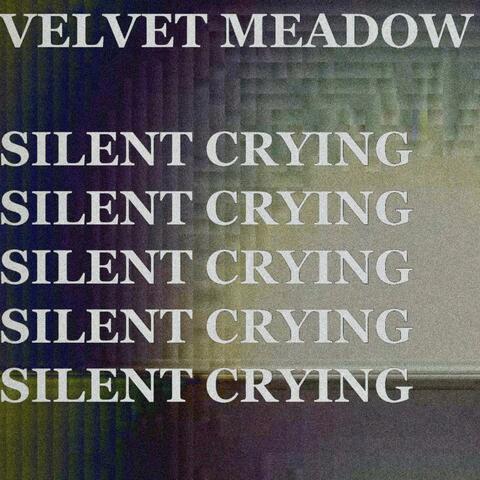 Silent Crying