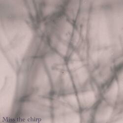 Miss the Chirp (feat. digifool & rachill)