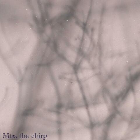 Miss the Chirp (feat. digifool & rachill)