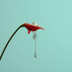 LAGRIMAS DE DIAMANTES