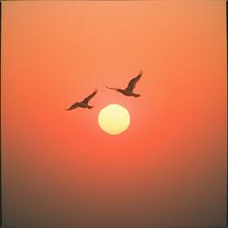 Dame alas para volar contigo