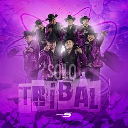 Solo Tribal