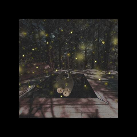 Fading Flickers