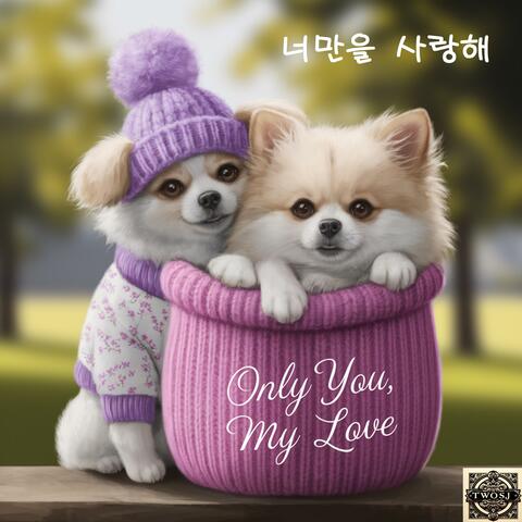너만을 사랑해