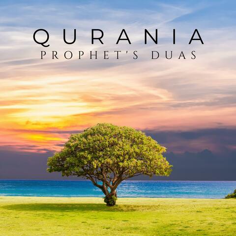Prophet's Duas