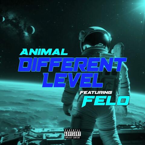 Different Level (feat. Felo Aka Felony)