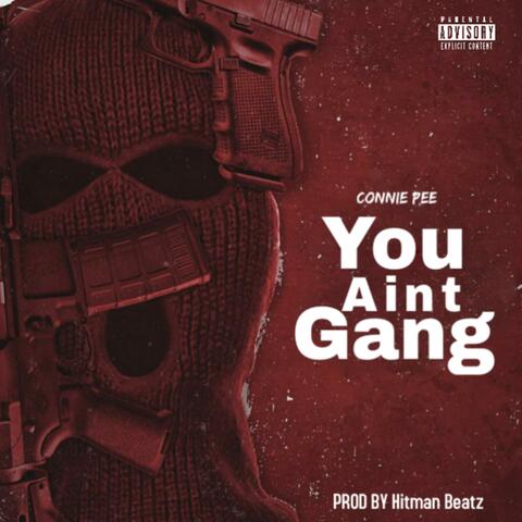 You Aint Gang