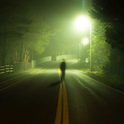lost in the shadows