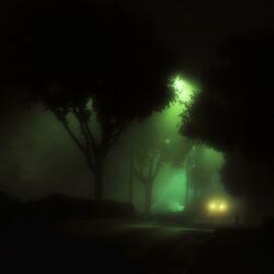 whispers in the dark