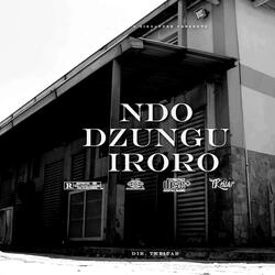 Ndodzungu iroro