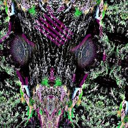 1 Trauma Dub (Weird When You Don't Want It to Be)